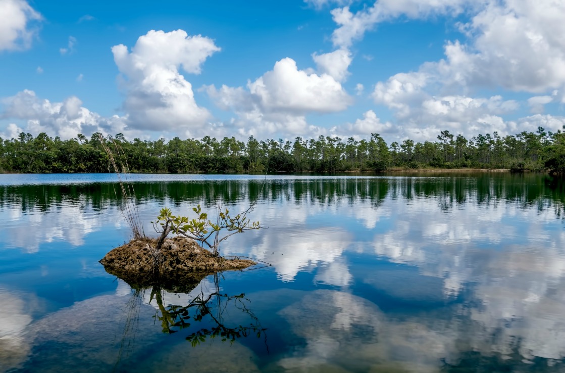 Everglades National Park